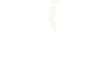 MP Biela — Biuro podatkowe